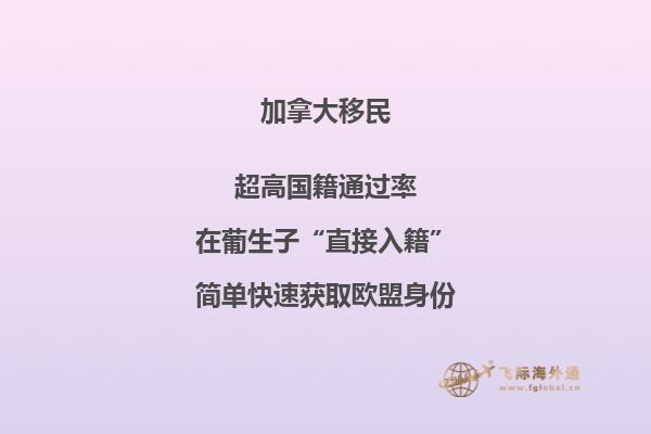 加拿大大西洋四省申請條件，你符合以下條件嗎？