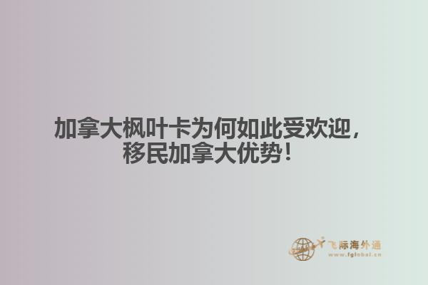 加拿大楓葉卡為何如此受歡迎