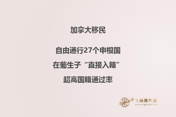 加拿大留學(xué)移民專業(yè)選什么，優(yōu)先選擇以下專業(yè)！