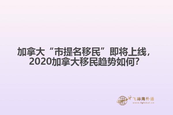 加拿大“市提名移民”即將上線，2020加拿大移民趨勢如何？
