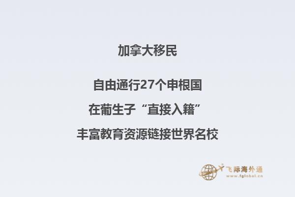加拿大NB省企業(yè)家移民申請(qǐng)條件如何，你能申請(qǐng)嗎？