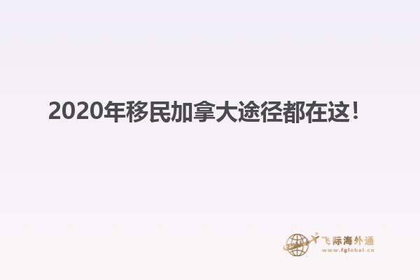 2020年移民加拿大途徑都在這！