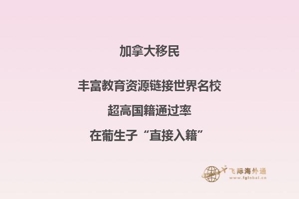 加拿大楓葉卡需要什么條件才可以