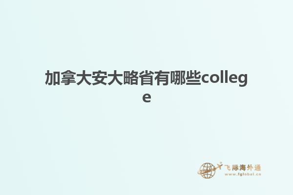 加拿大安大略省有哪些college