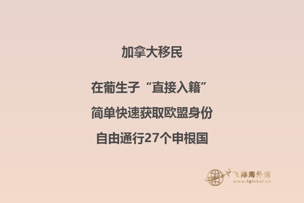 加拿大約克大學舒立克商學院世界排名