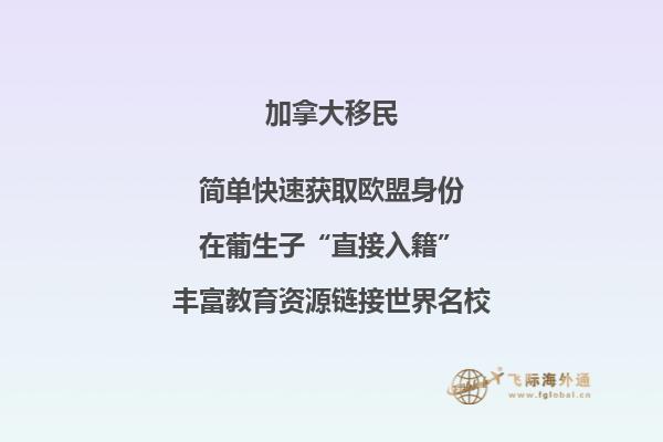 加拿大探親簽證申請表有沒有中英文的