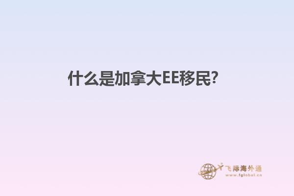 什么是加拿大EE移民？