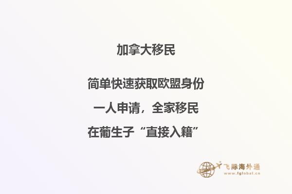 加拿大SUV移民條件，暢享加國自由與豪華！