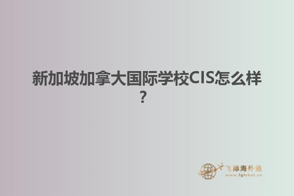 新加坡加拿大國際學校CIS怎么樣？