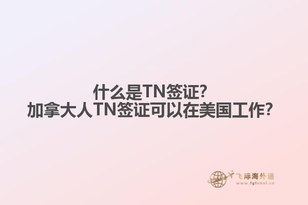 什么是TN簽證？加拿大人TN簽證可以在美國工作？