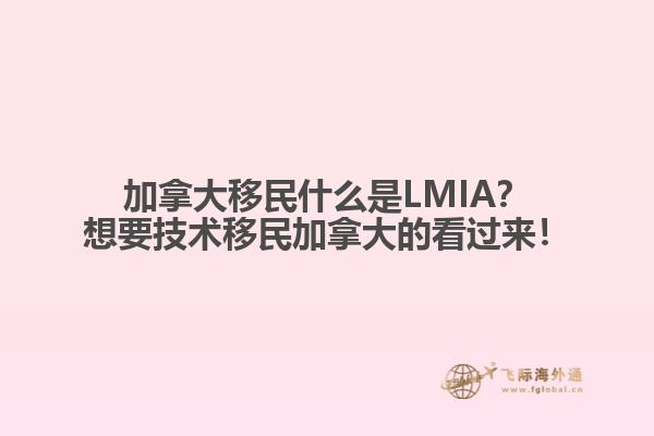 加拿大移民什么是LMIA？想要技術移民加拿大的看過來！