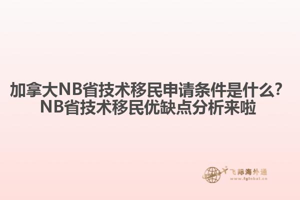 加拿大NB省技術移民申請條件是什么？NB省技術移民優(yōu)缺點分析來啦 