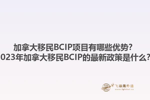 加拿大移民BCIP項(xiàng)目有哪些優(yōu)勢？2023年加拿大移民BCIP的最新政策是什么？1.jpg