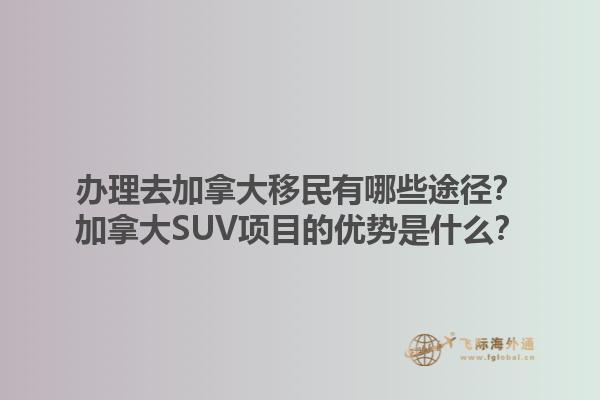 辦理去加拿大移民有哪些途徑？加拿大SUV項目的優(yōu)勢是什么？