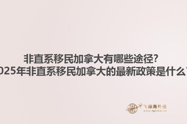 非直系移民加拿大有哪些途徑？2025年非直系移民加拿大的最新政策是什么？